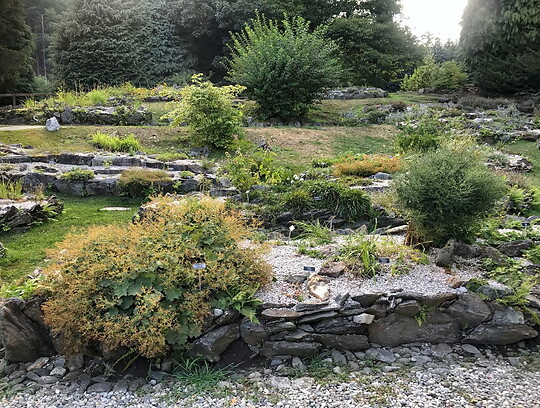 giardino-botanico-alpinia